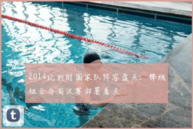 2014比利时国家队阵容盘点：锋线组合与淘汰赛部署看点