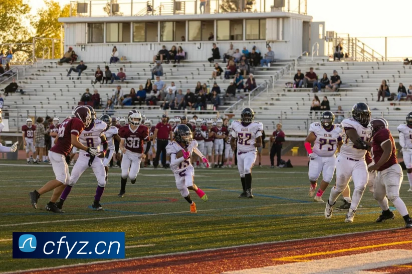 App Interface Preview